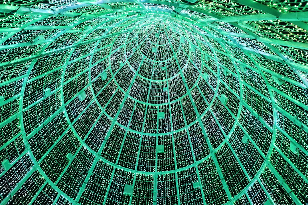 Anonymous Data Verification: Protecting Privacy in the Digital Age