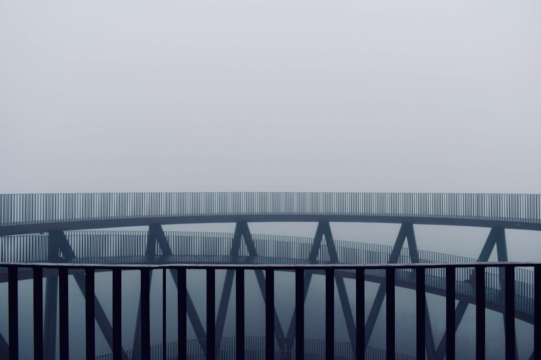 Bridge Relays: Enhancing Access to the Tor Network