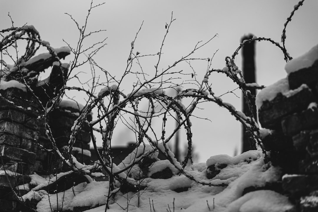 Cold Load Attack: A Threat to Cryptocurrency Privacy