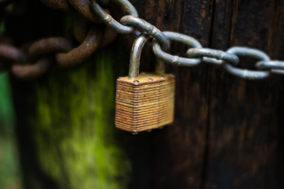Differential Privacy in Blockchain: Securing Cryptocurrency Transactions