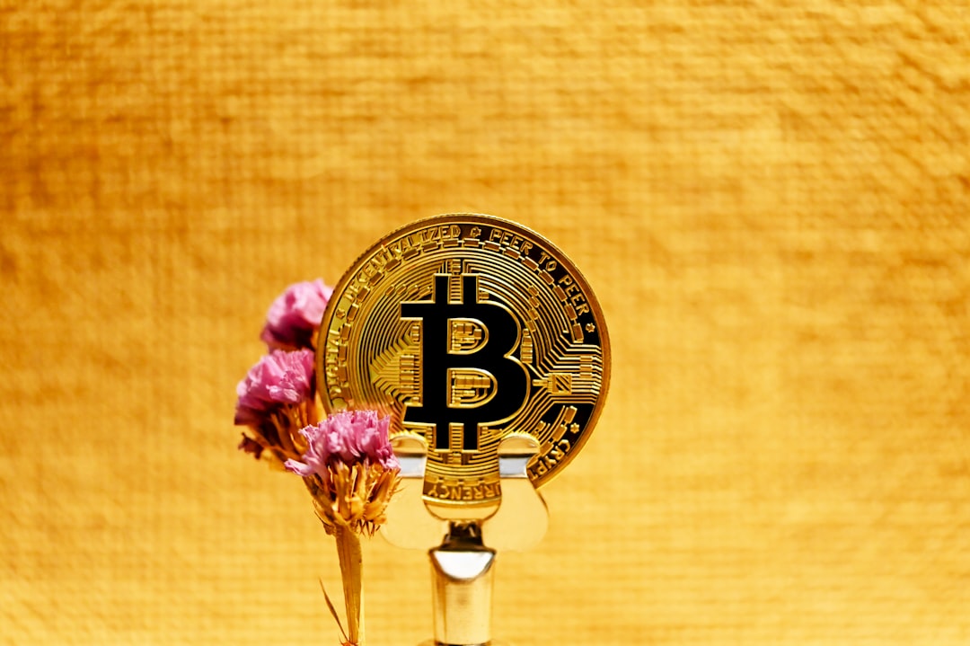 Приватный DNS-резолвер: защита ваших крипто-транзакций