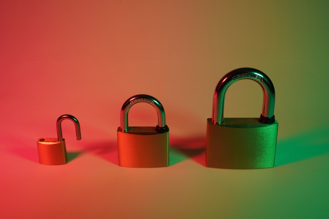 Encrypted Input Data: The Key to Cryptocurrency Privacy