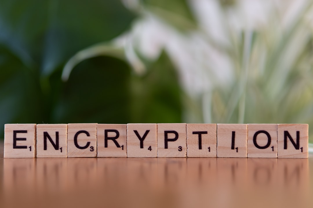 Homomorphic Encryption for Cryptocurrency Privacy