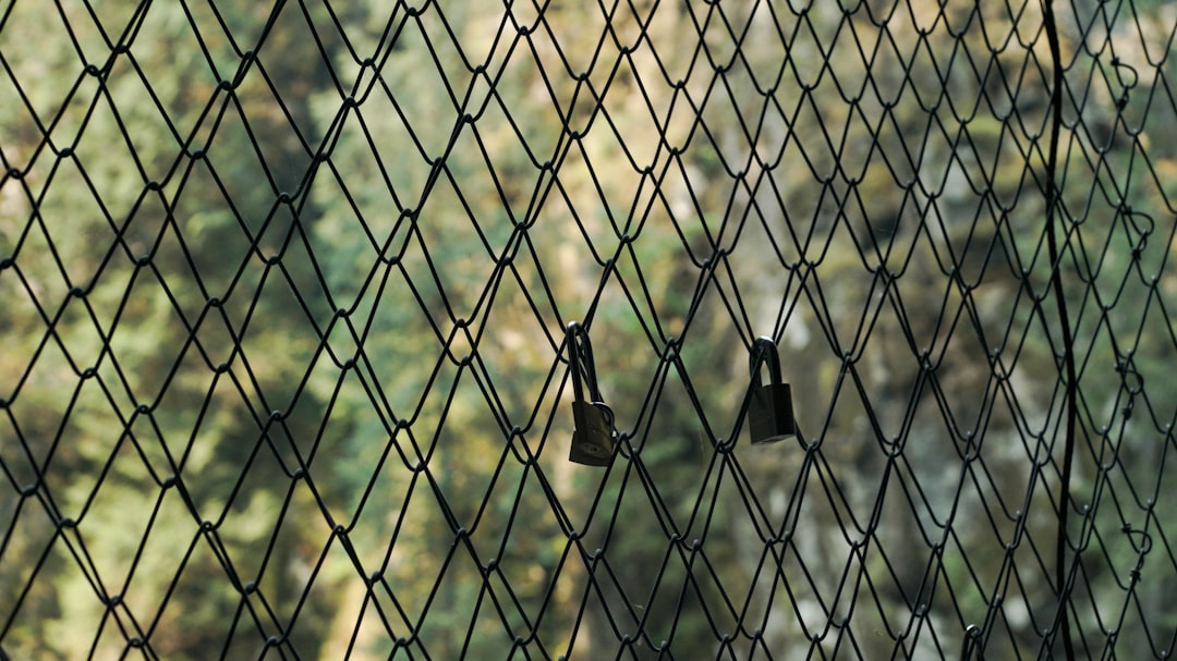 Invisible Transaction Networks: The Future of Cryptocurrency Privacy