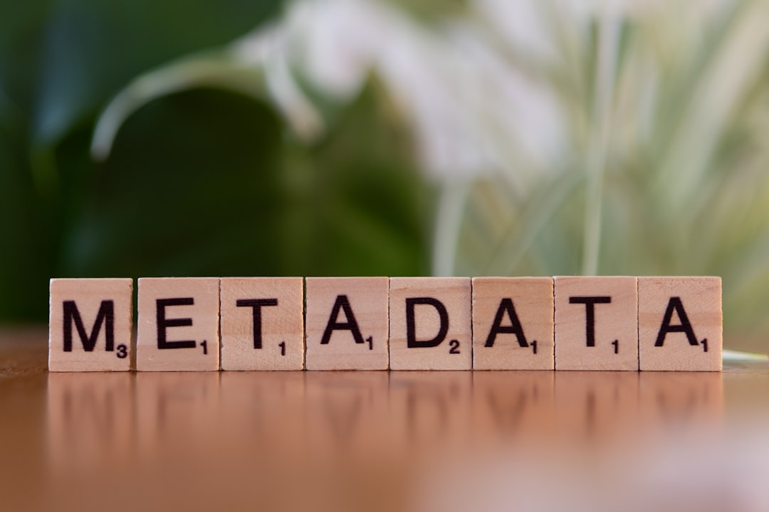 Metadata Leakage Risks: Protecting Your Privacy in the Digital Age