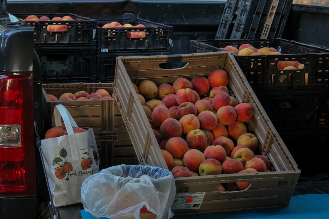 Peach Bitcoin P2P Installation: Secure Private Transactions