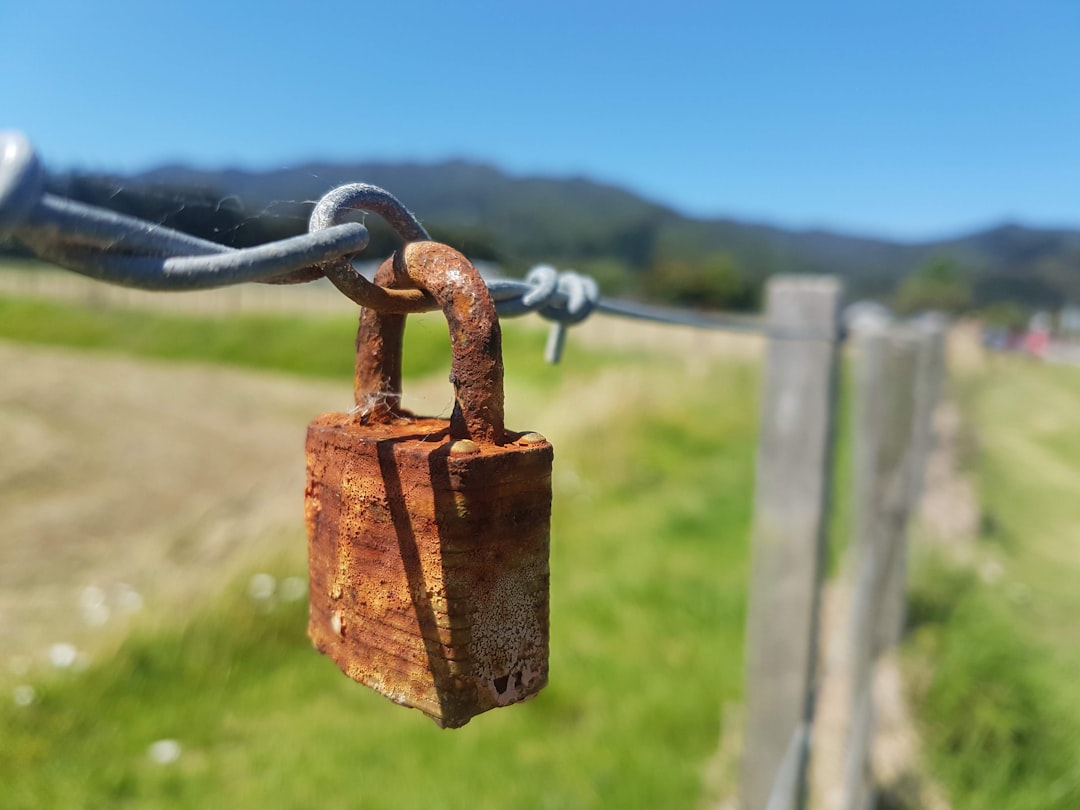 Топ-5 анонимных альткоинов: как сохранить приватность в крипто-мире