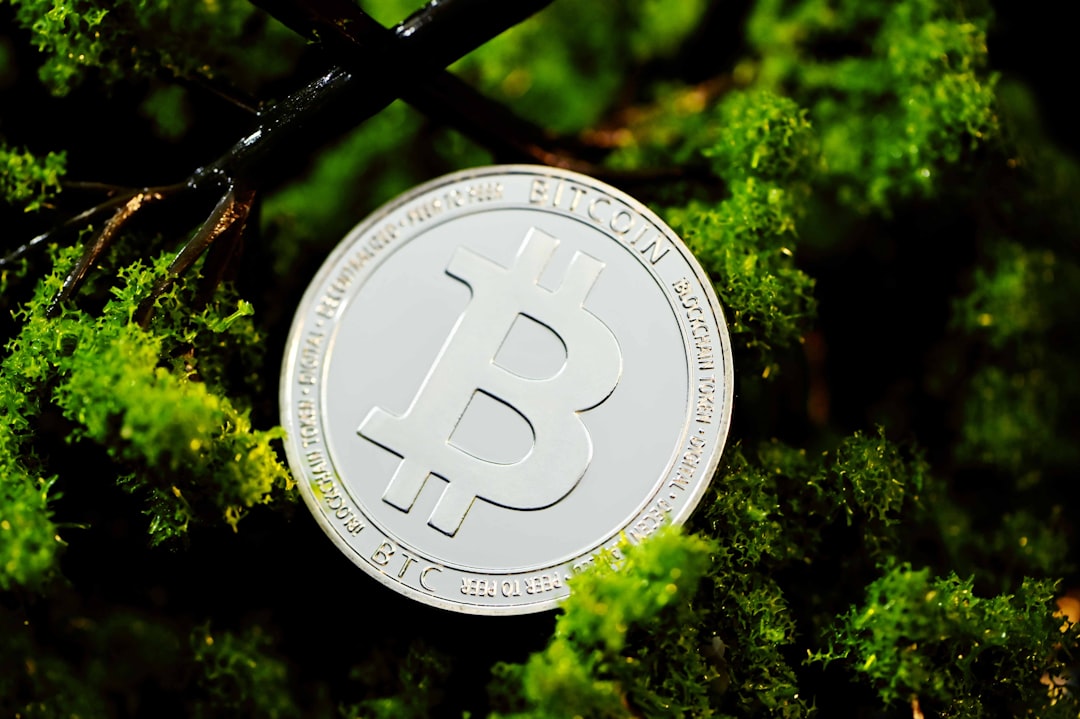 Скрытая история кошелька: как защитить приватность в криптовалюте