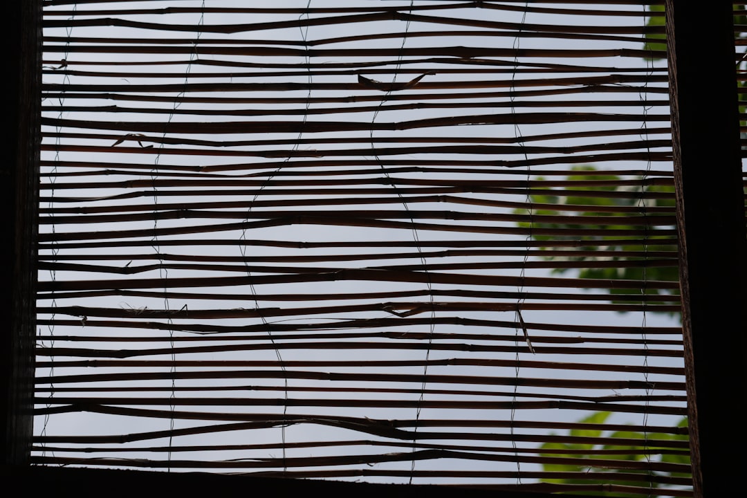 Порядок транзакций и приватность: как сохранить анонимность в криптовалютах