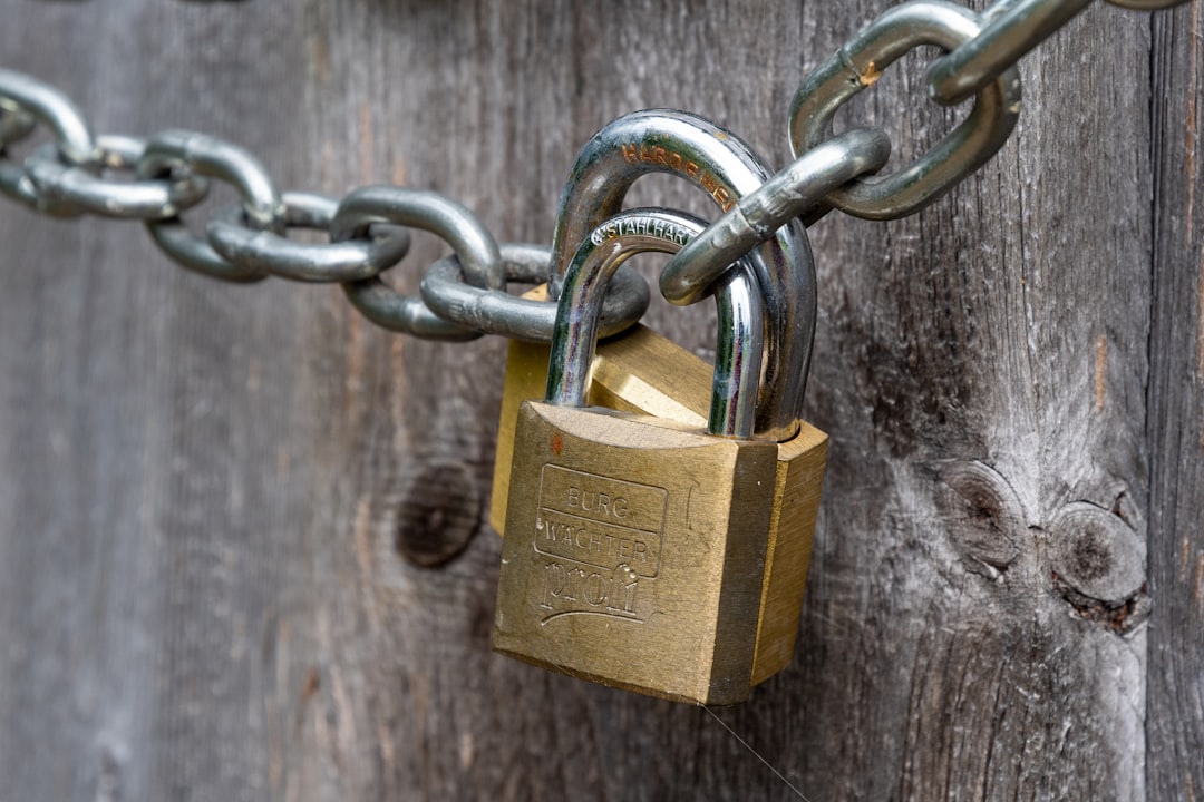 Privacy Concerns in Government-Backed Cryptocurrencies