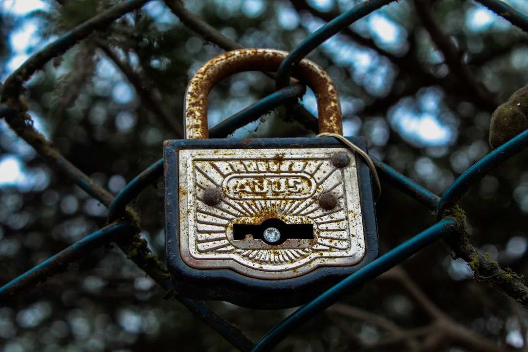Privacy Concerns with Wrapped Bitcoin: What You Need to Know