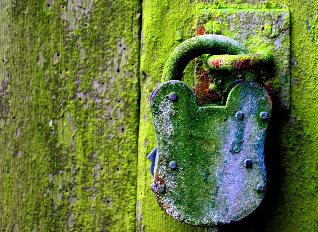 Privacy in DeFi: Protecting Your Digital Assets