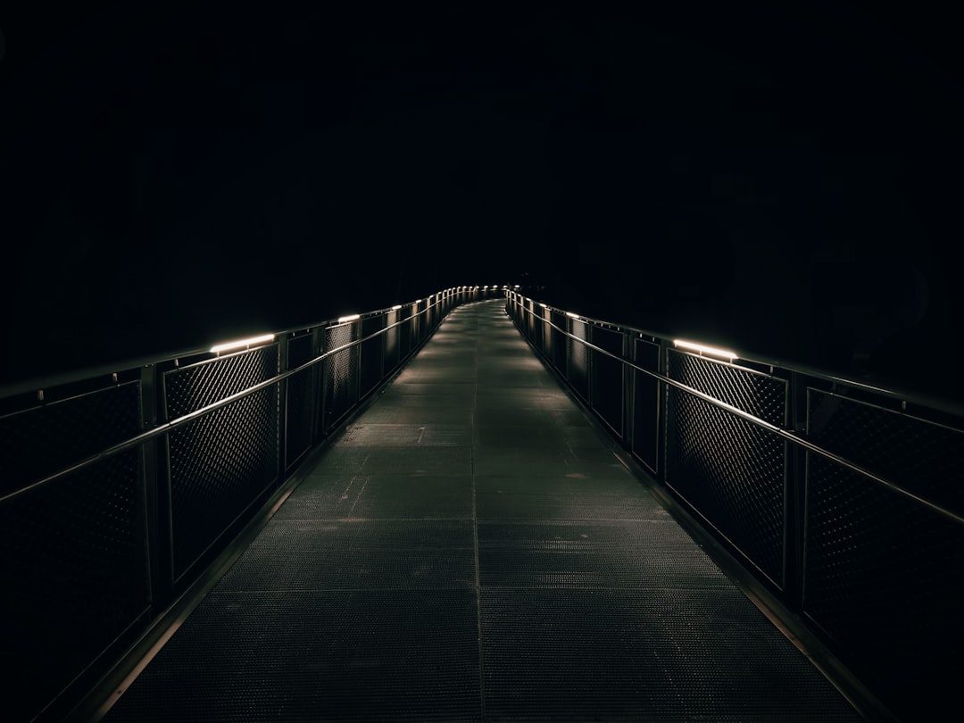 Privacy-Preserving Bridges: The Future of Secure Cross-Chain Transactions