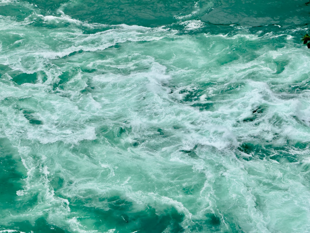 Private NFTs with Whirlpool: Secure Your Digital Assets