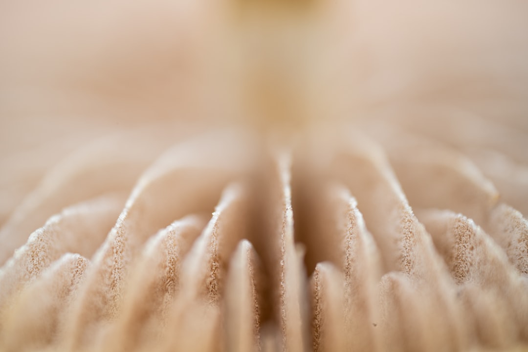 The Controversial Practice of Freezing Stablecoins