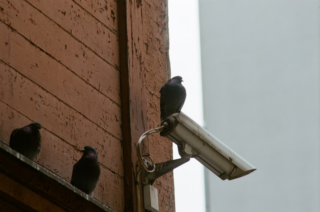 The Demand for Privacy Interchangeability in Cryptocurrency