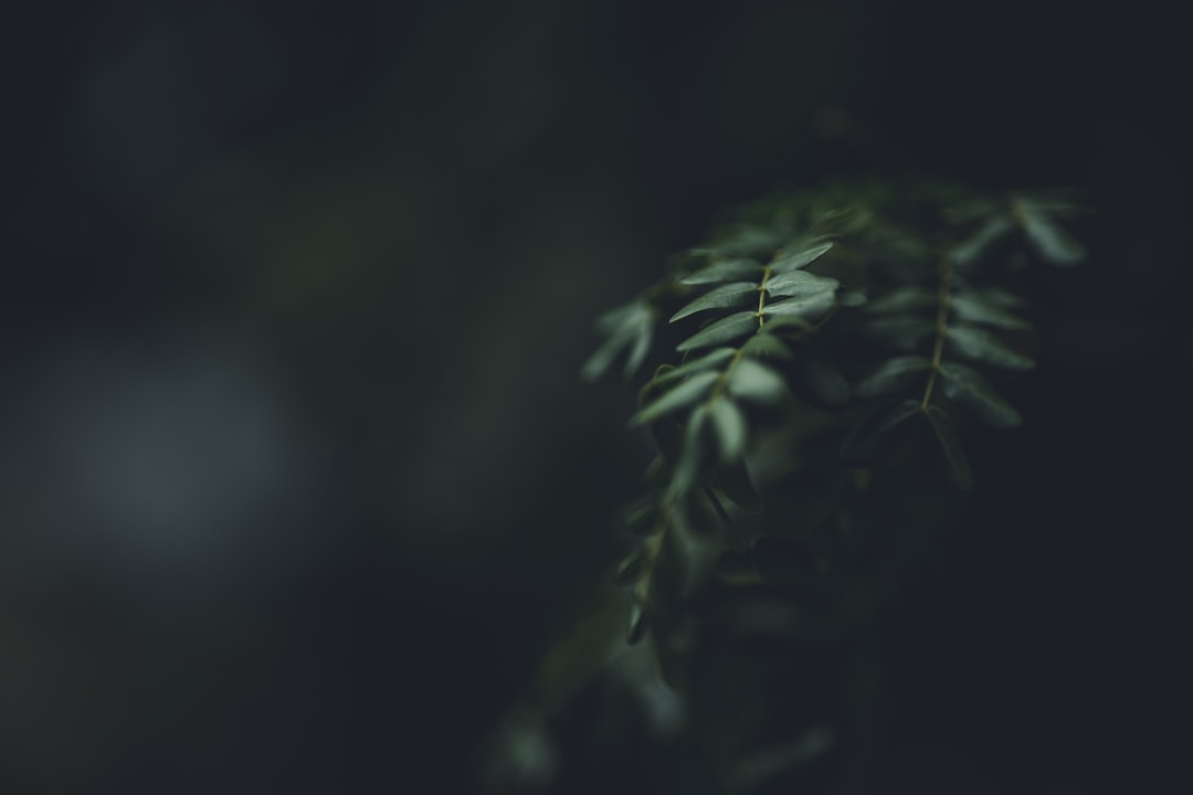 Токен управления TORN: Ключ к приватности в эпоху цифровых активов