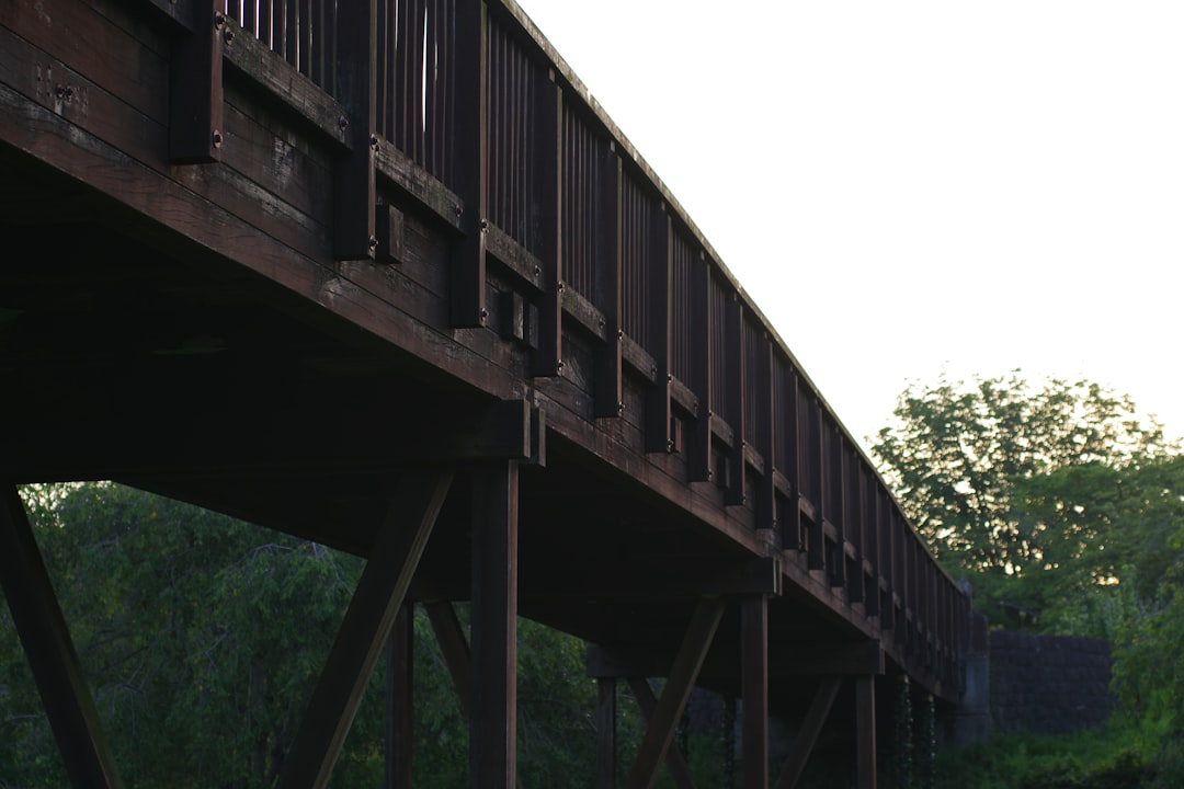 Tracing Bridge Stablecoins: Privacy Challenges in Crypto