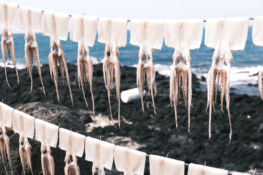 Understanding Chain Hopping and Money Laundering in Cryptocurrency