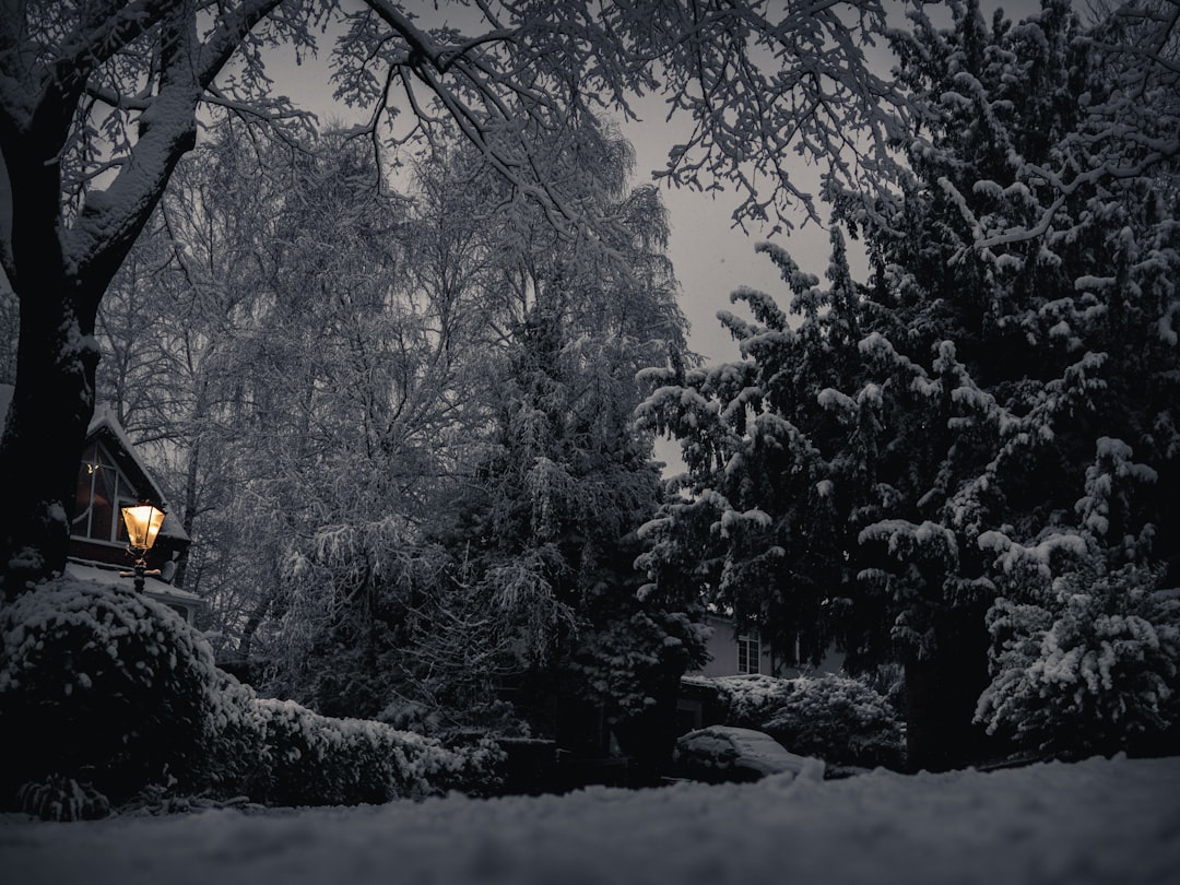 Understanding Cold Load Attacks in Cryptocurrency Security