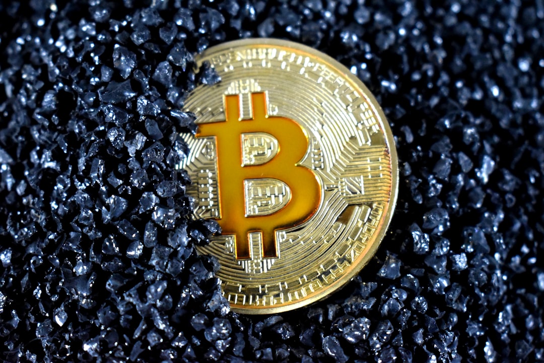 Understanding Sender-Receiver Information in Cryptocurrency Transactions