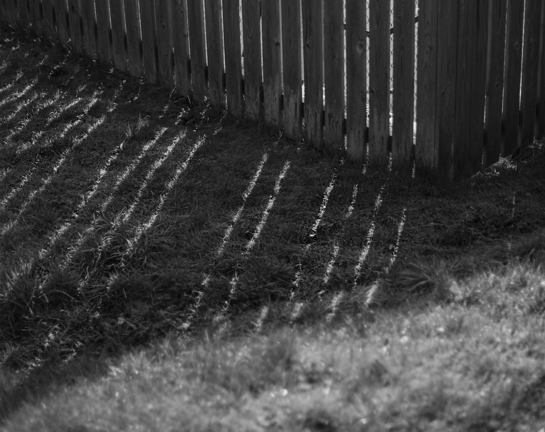 Миксер Zcash: Как усилить анонимность ваших транзакций